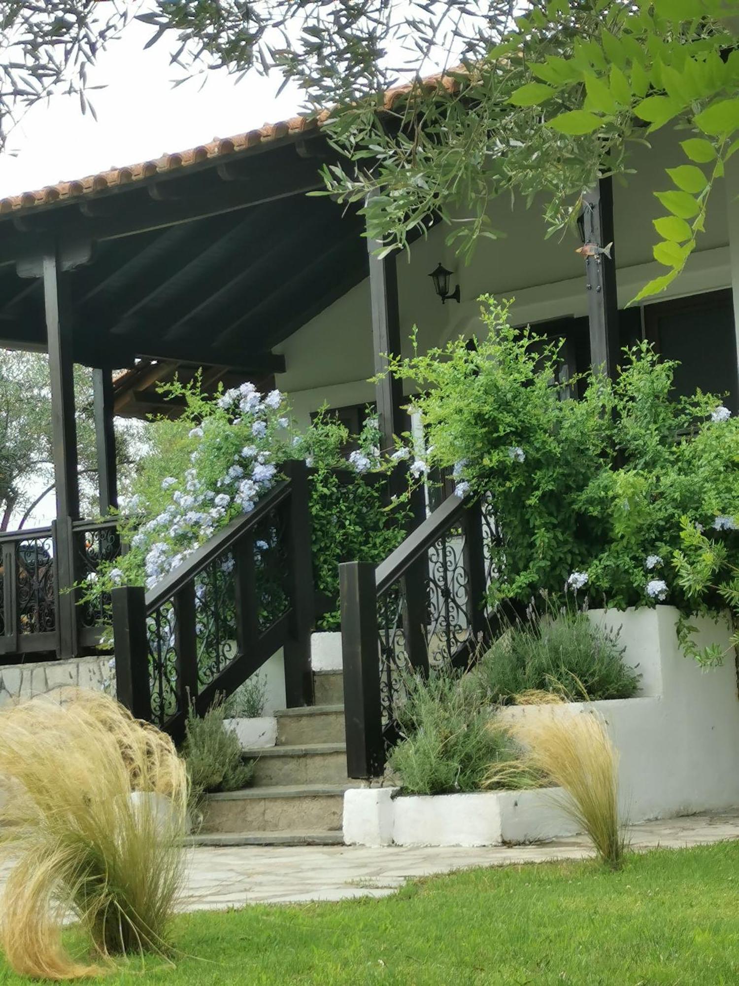 Villa Joy Ormos Panagias Exterior foto
