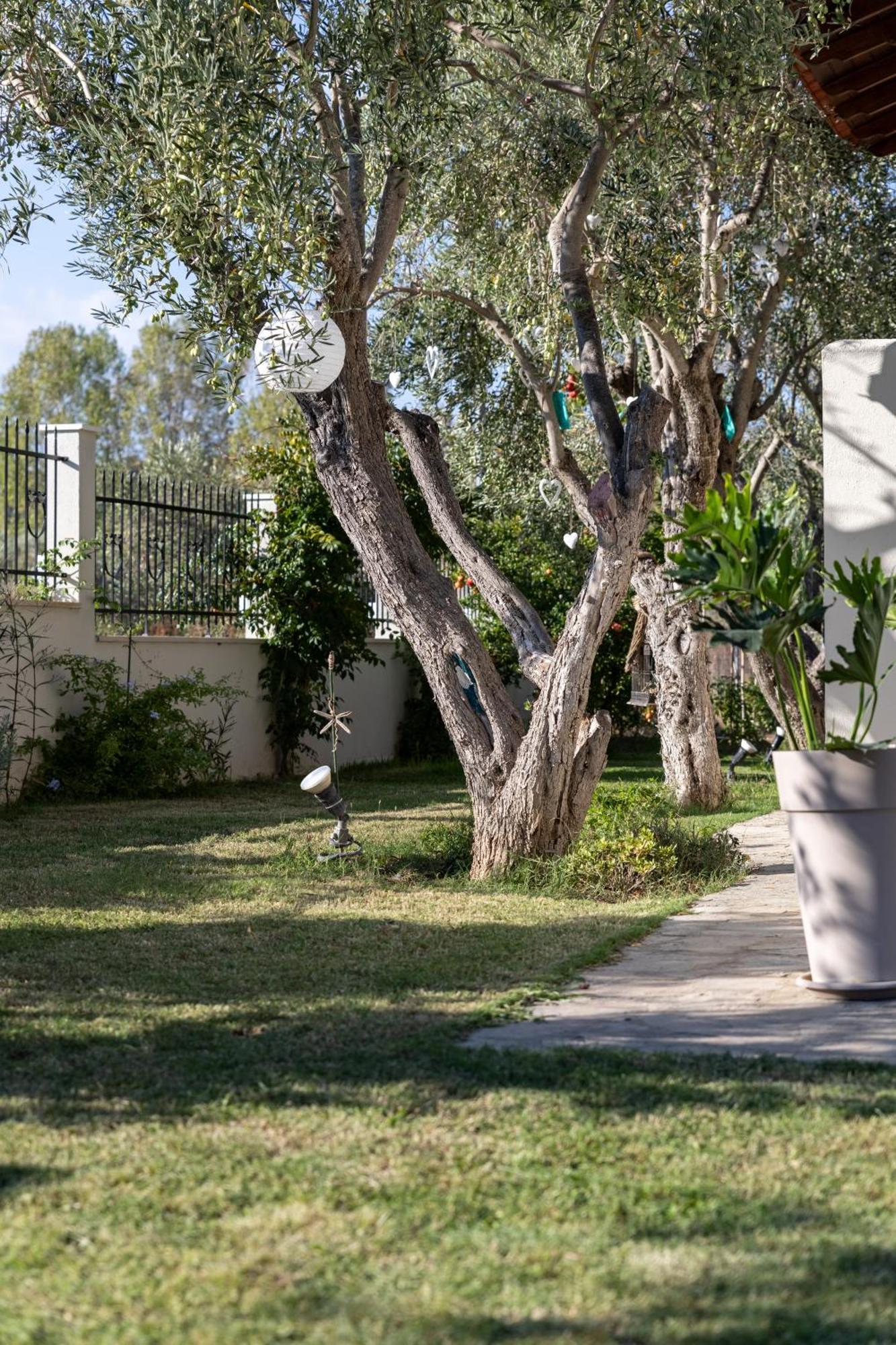 Villa Joy Ormos Panagias Exterior foto
